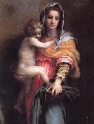 Andrea del Sarto Madonna of the Harpies oil painting